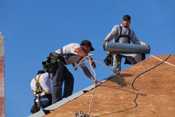 Best Storm Damage Roof Repair  in Dry Ridge, KY