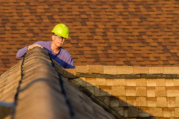 Best Roof Gutter Cleaning  in Dry Ridge, KY